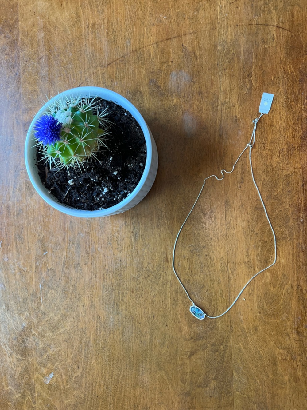 Kendra Scott Gold Abalone Delaney Necklace NWT